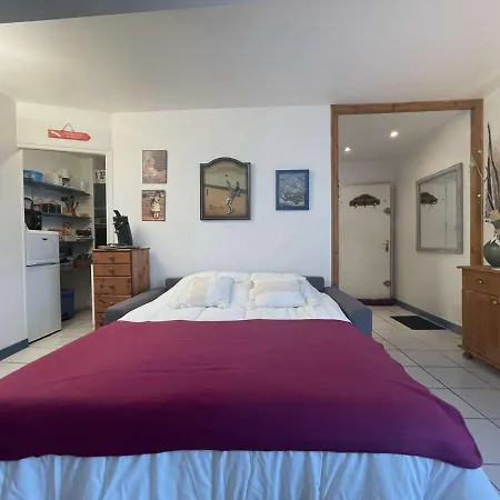Saint-martin-de-re, Pres Des Commerces Et Restaurants, Ideal Pour Cyclistes - Fr-1-246c-20 Apartment *